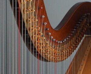 Close-up photo of the harp discs