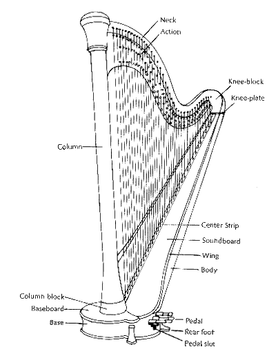 Diagram of the pedal harp with the labels pedal, rear foot, pedal slot, base, baseboard, column block. column, neck, action, knee-block, knee-plate, center strip, soundboard, wing, and body